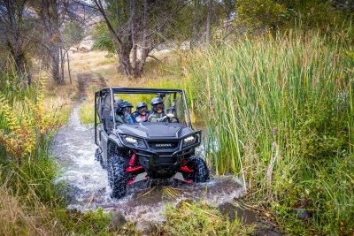 Trail Riding